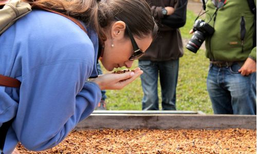 Panamá: La Gran Zafra