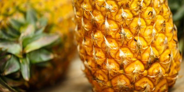 The sweet taste of pineapple Day Tour
